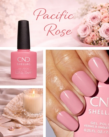 pacific rose
